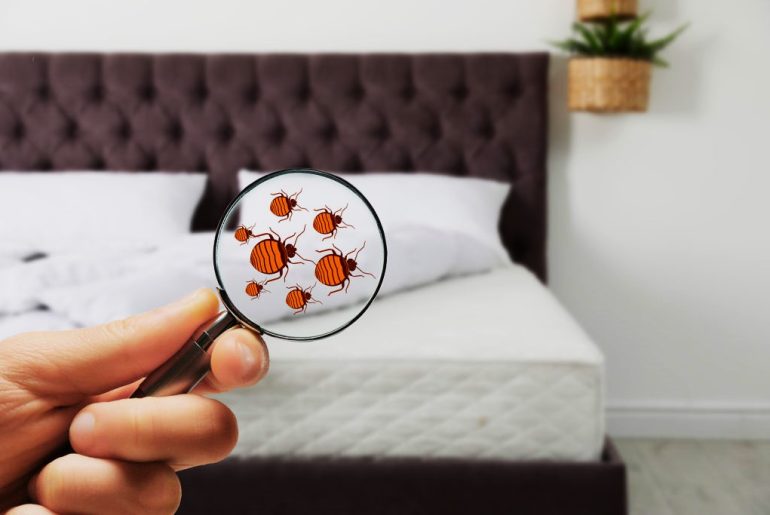 Challenges to Suing for Bedbug Bites in California